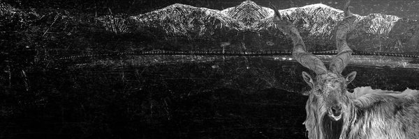 MarkhorTweetss Profile Banner