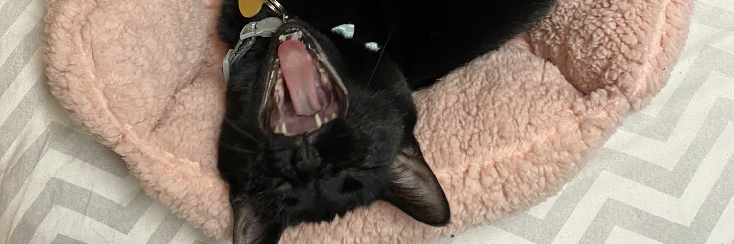 stoneybait's profile banner image
