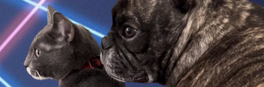 KB1101's profile banner image