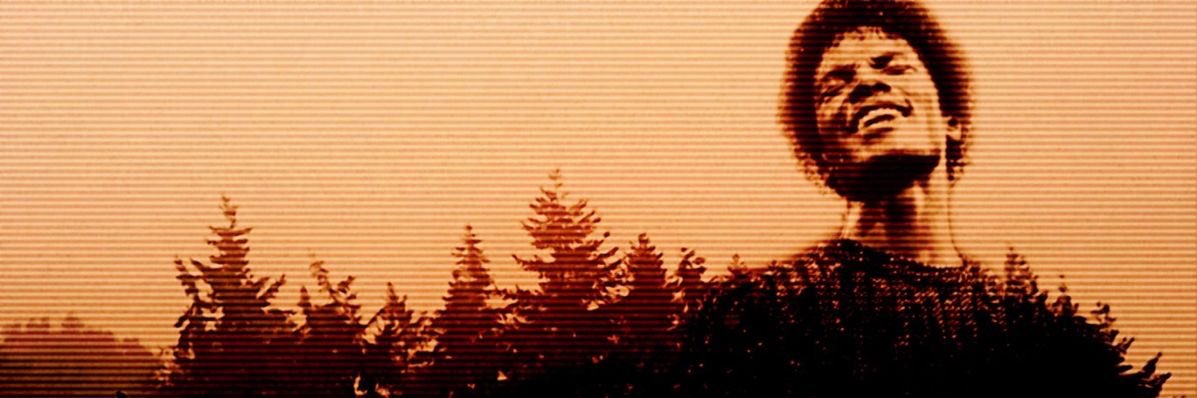 ﹒⋆Ceevee (Healed) banner