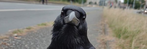 TabaAccount Profile Banner