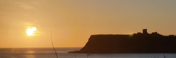 _amybat Profile Banner