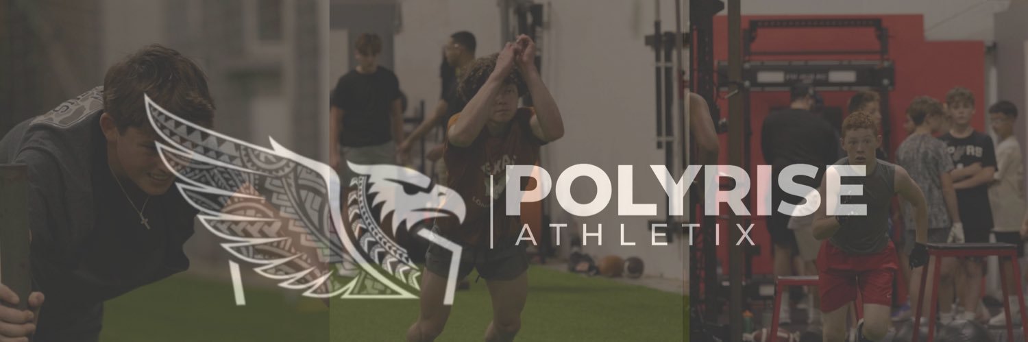 PolyRISEFB's profile banner image