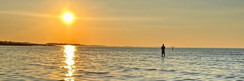 Rose8293605196's profile banner image