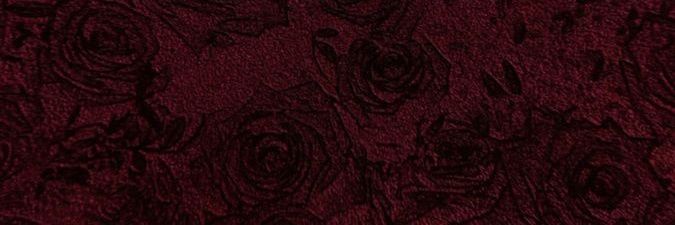 andra banner