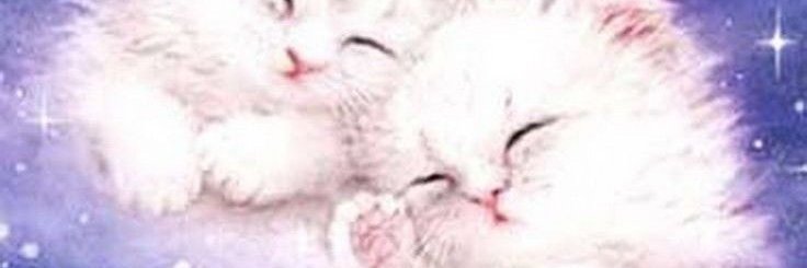 clownpostings banner