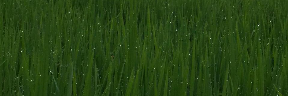 kty_Lore's profile banner image