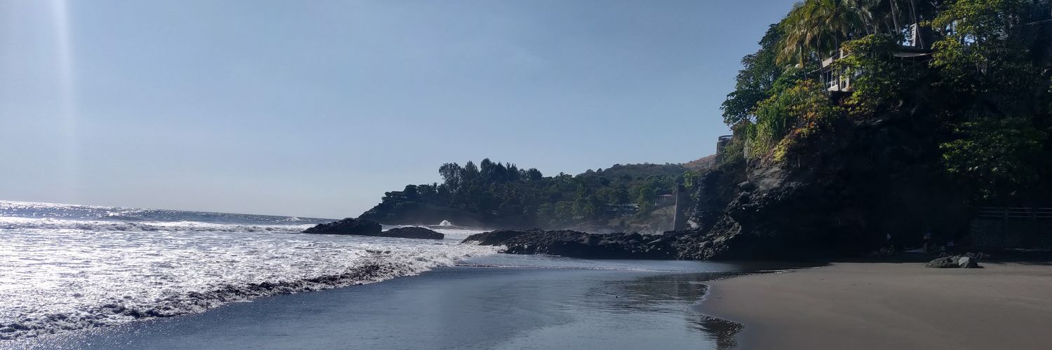 Stephen Dunleavy banner