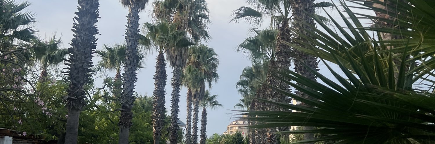 kianmott's profile banner image