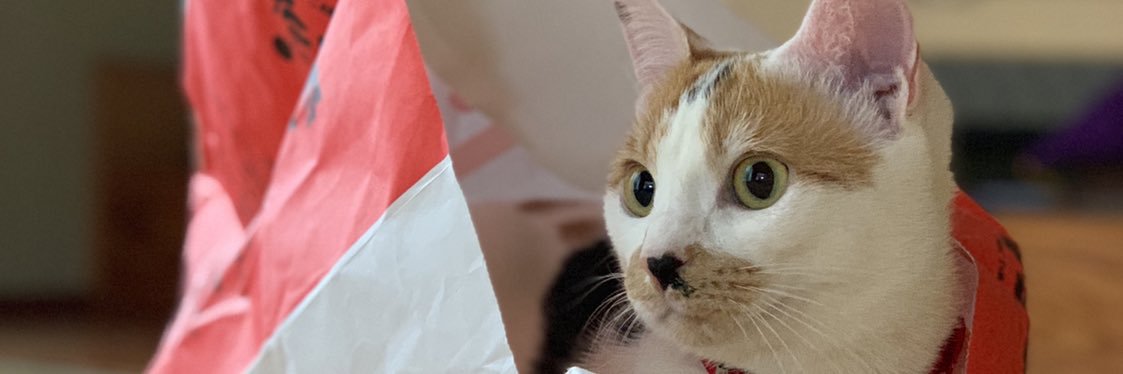 arinko_3's profile banner image
