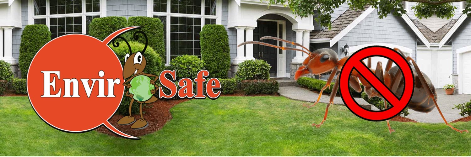 PestCharlotte's profile banner image