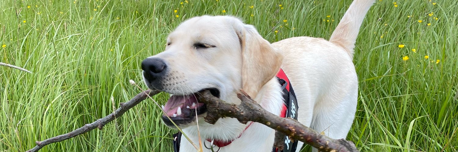 borkurj's profile banner image