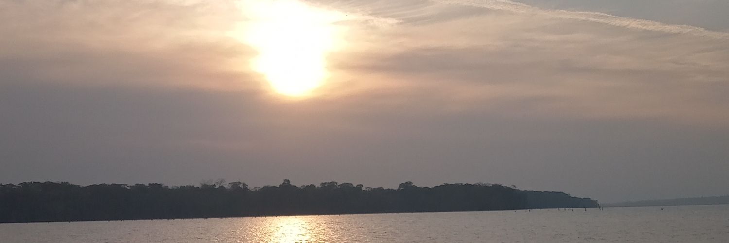 ls0048022's profile banner image