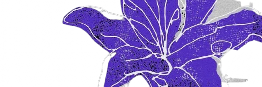 𝓸𝗌𝖺𝗆𝗎. banner