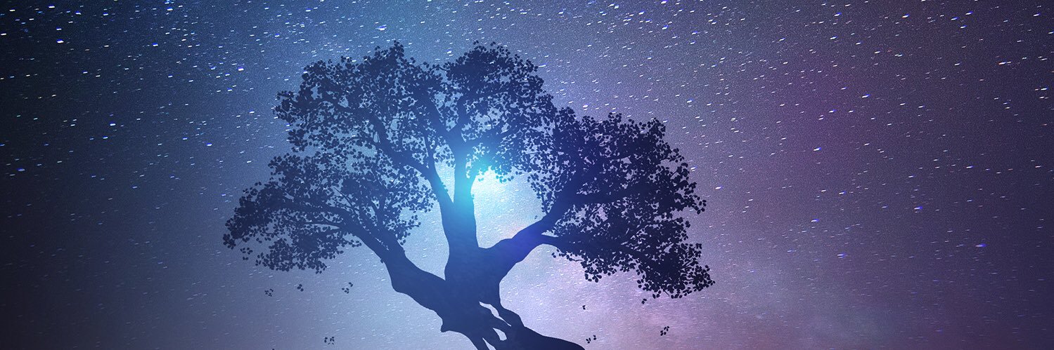 Joyceansada's profile banner image