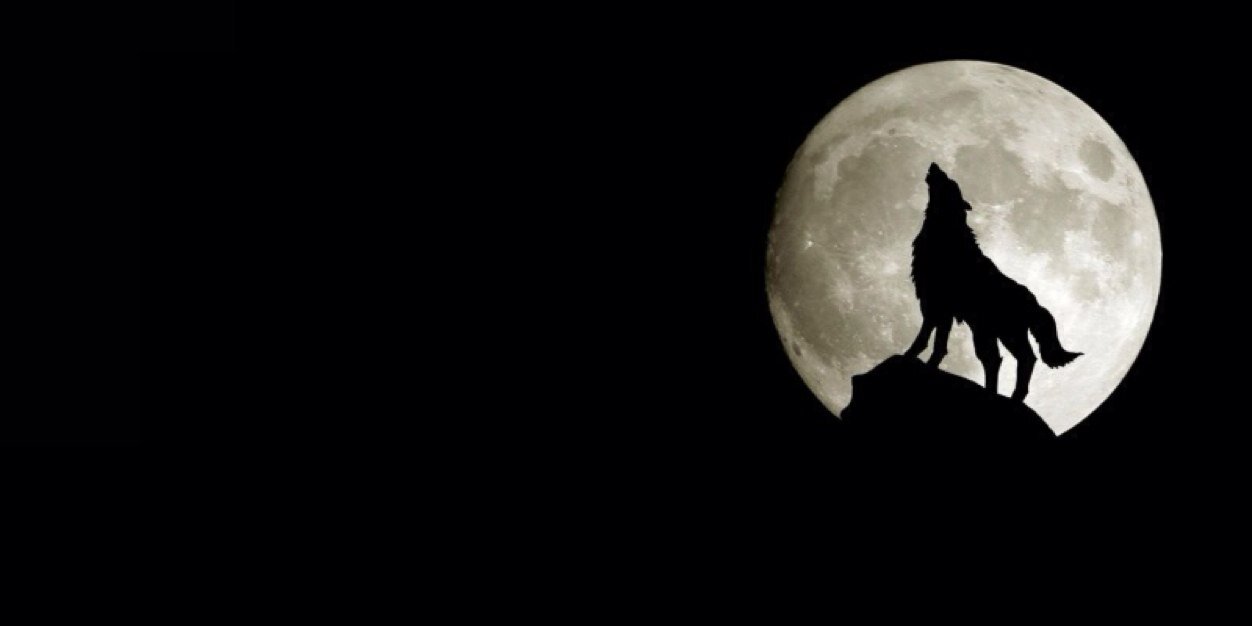 MarkosGlez's profile banner image