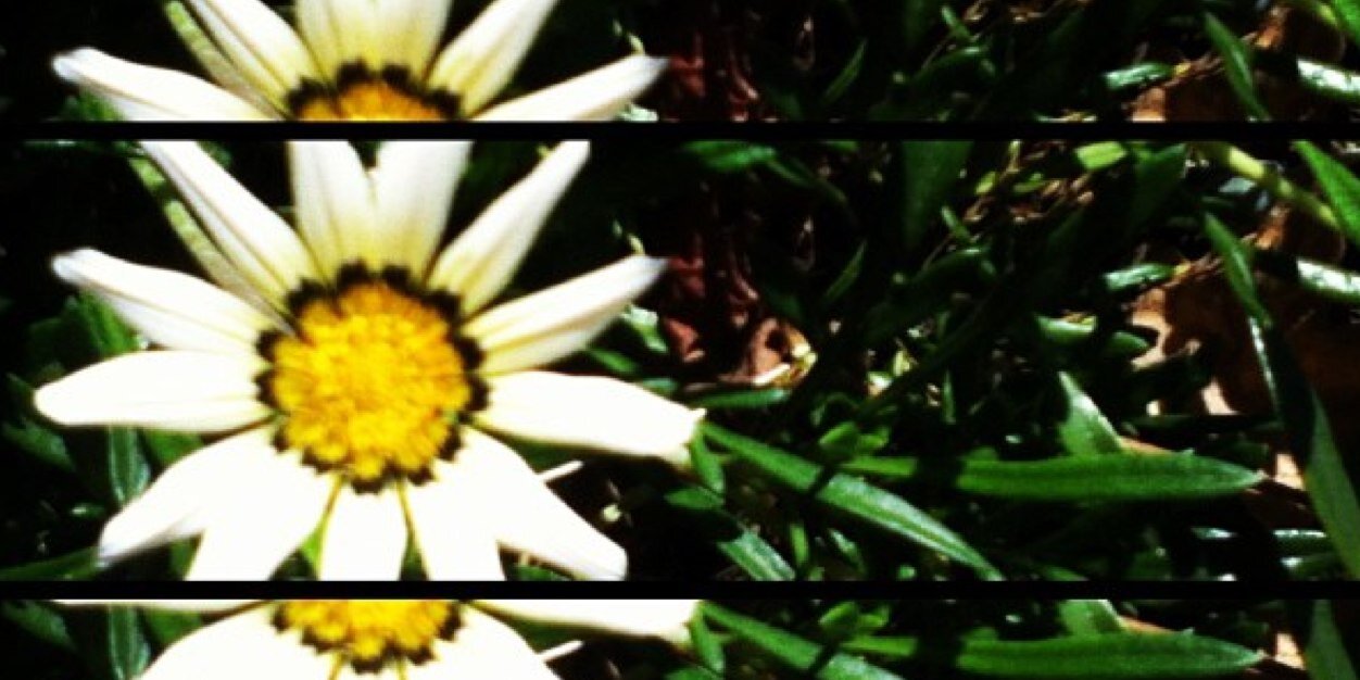 DaniDelaplane's profile banner image