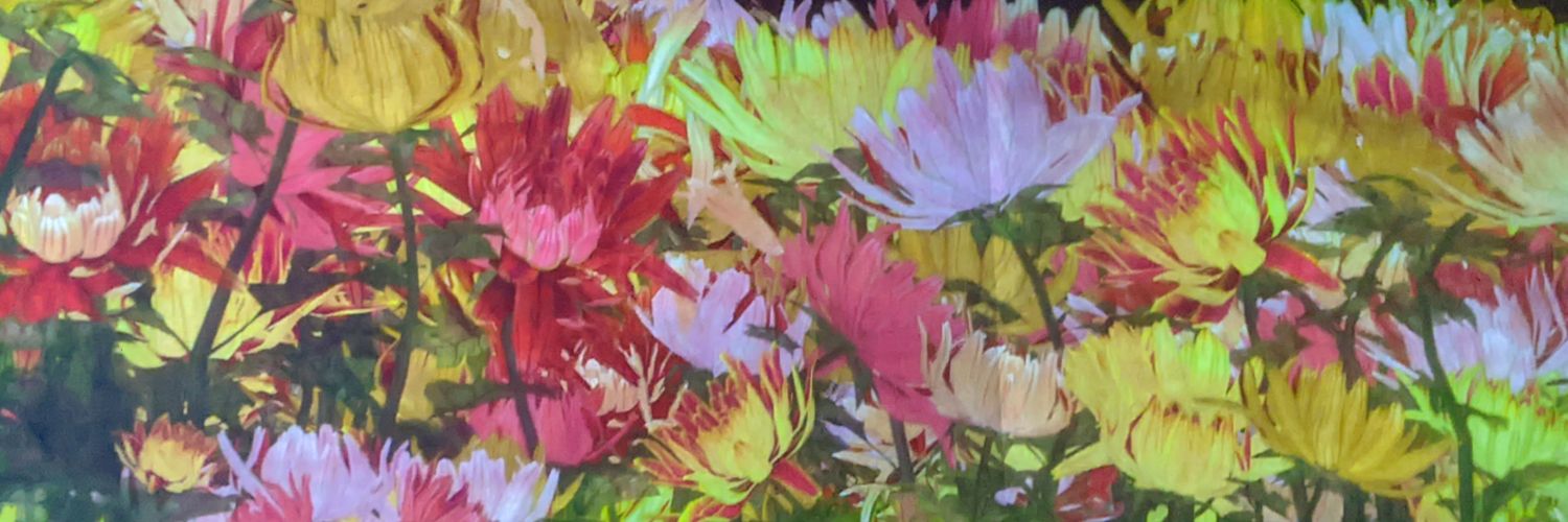 saikonut's profile banner image