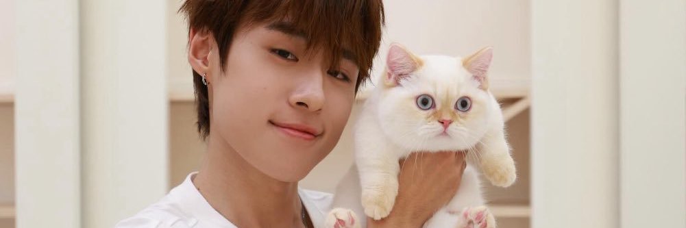 acervo nnutdan (& moji) banner