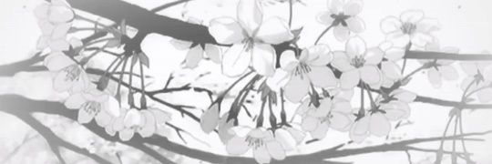 nani૮₍ ˶ᵔ ᵕ ᵔ˶ ₎ა (-16kg/?) banner