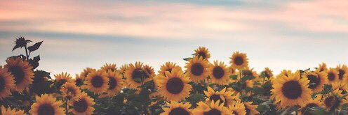 cindygm1's profile banner image