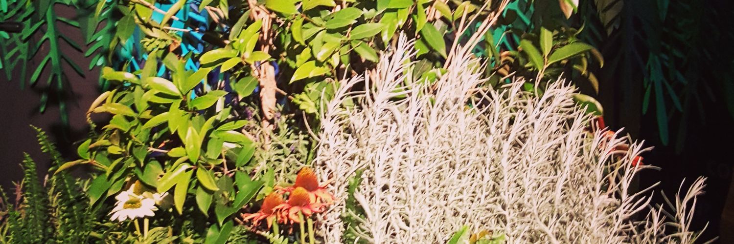 _L_J_F's profile banner image