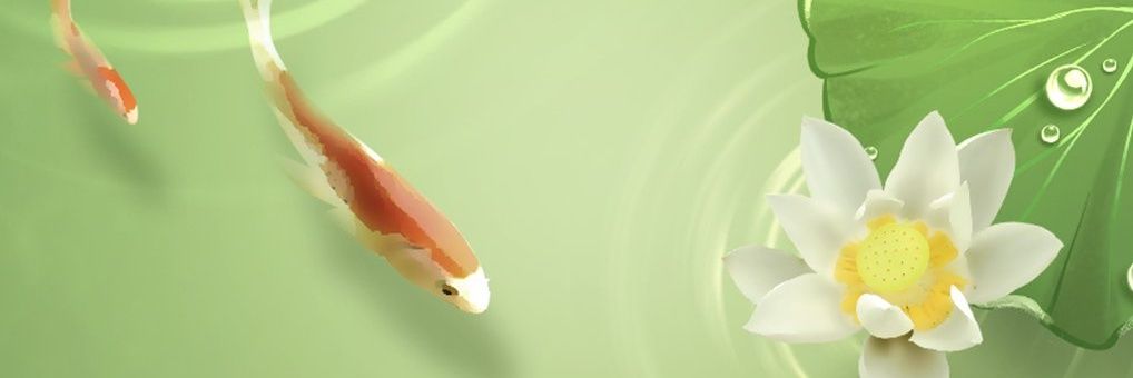 viguerito's profile banner image