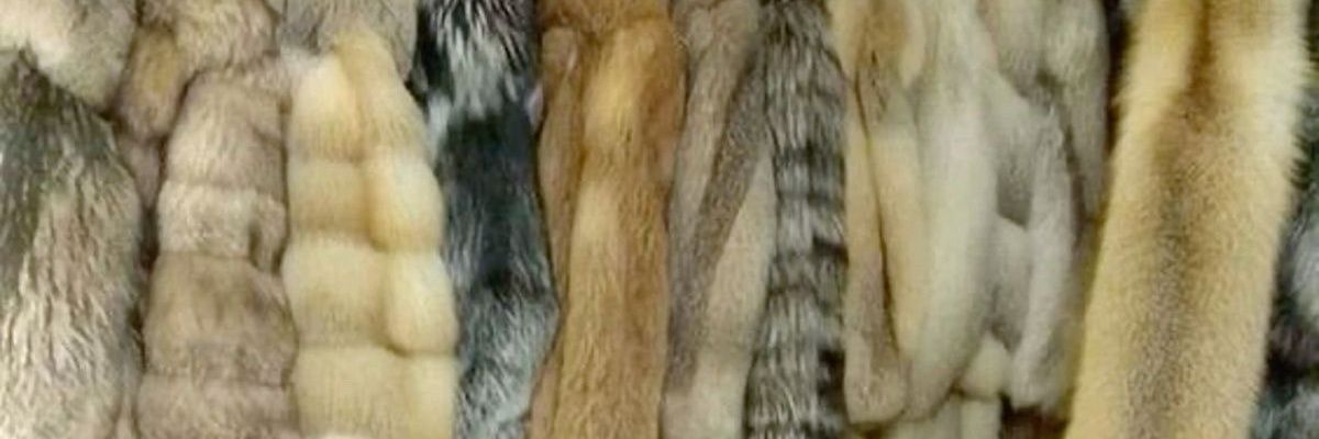Tom Ownes banner