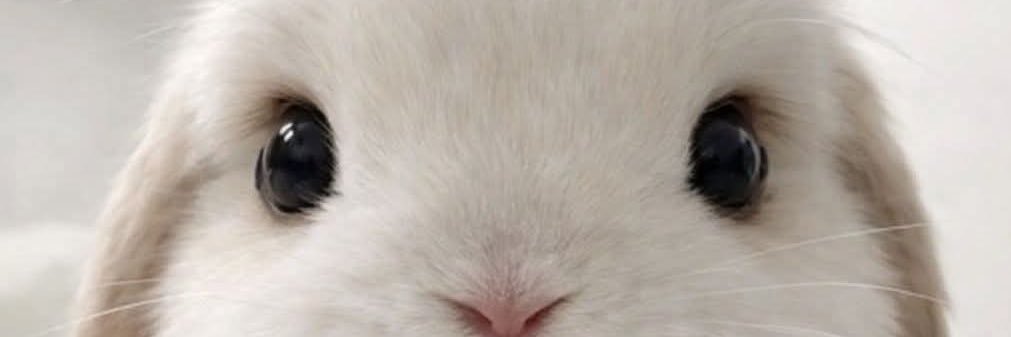 eearnchayaa's profile banner image