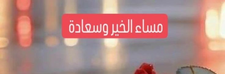 النجوم الھیفاء banner