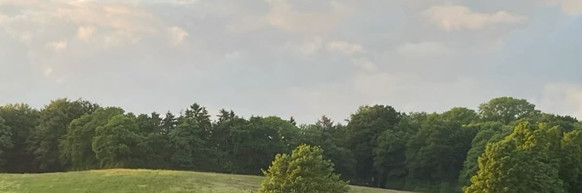 MediaSolli's profile banner image