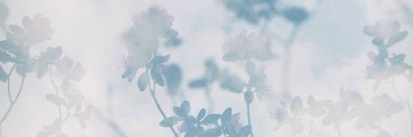 Solacersses Profile Banner