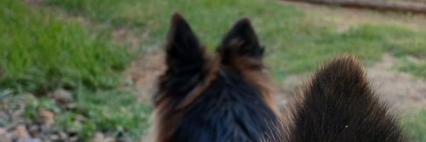 Hermo254 Profile Banner