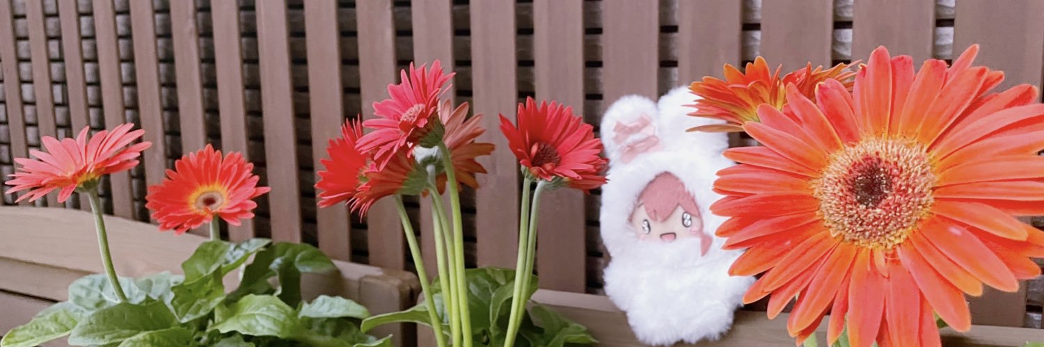 uniuninui's profile banner image