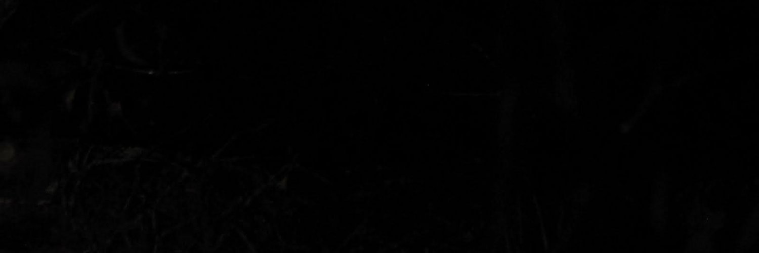ek3ss's profile banner image