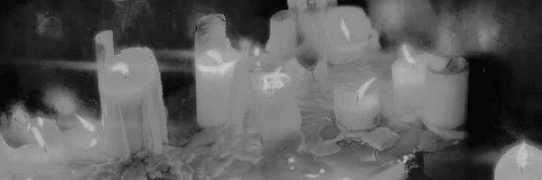 BinnieMeoww Profile Banner