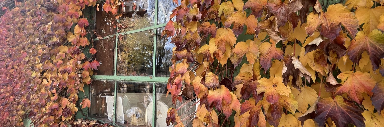 Shepherd Watcher banner