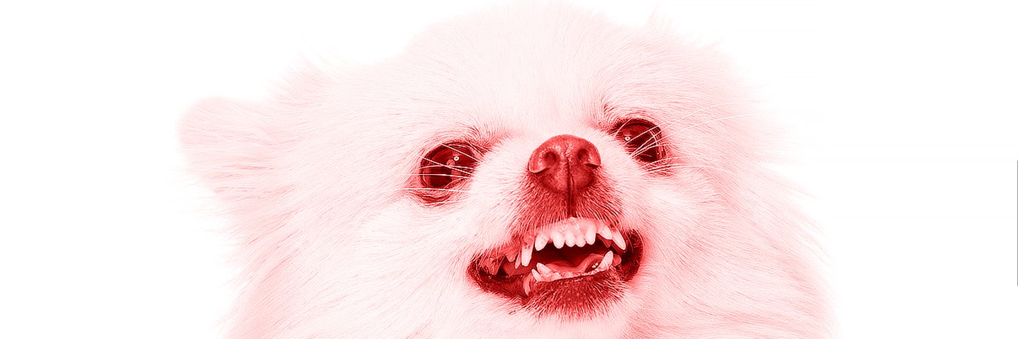 Anorok's profile banner image