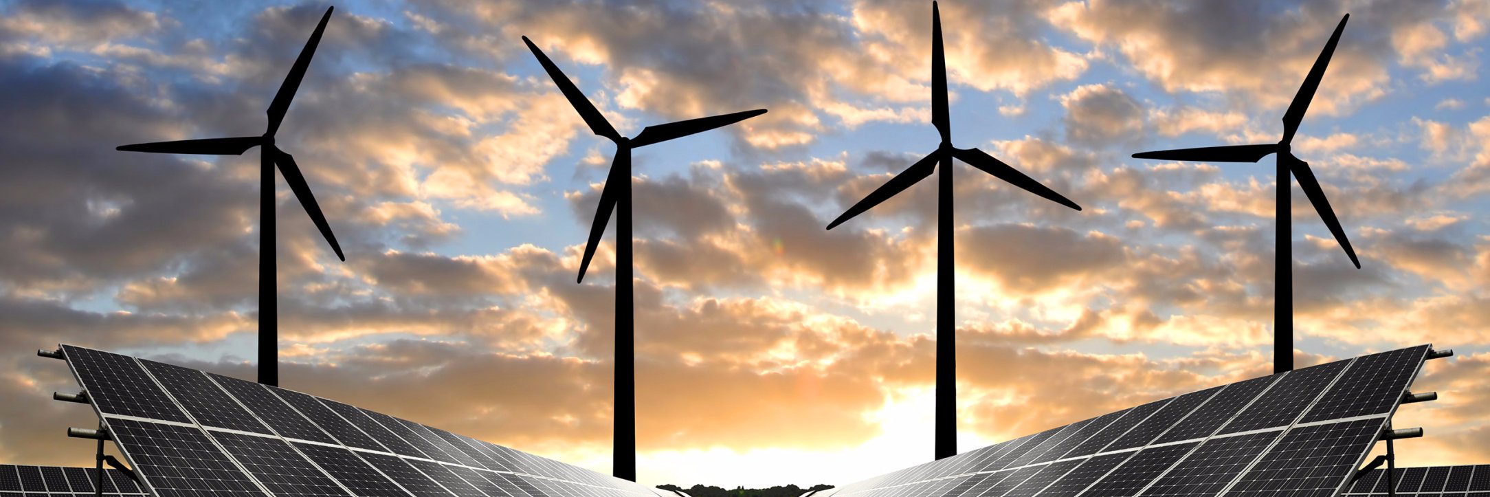 Miguel Coné Diaz banner