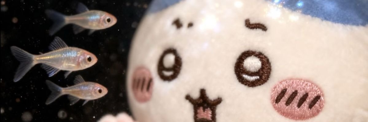 carrotcackes's profile banner image