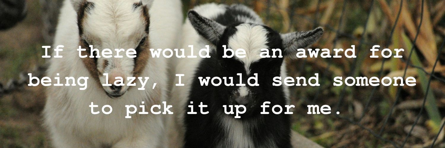 อาลิวเวอร์ 5.0 banner