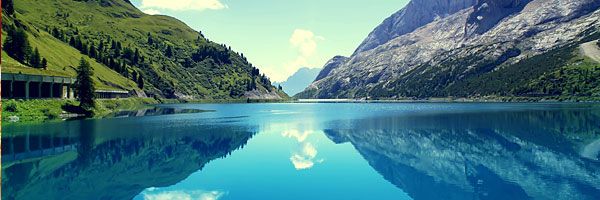 Patrick Coggins banner