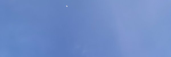 bbearyu Profile Banner