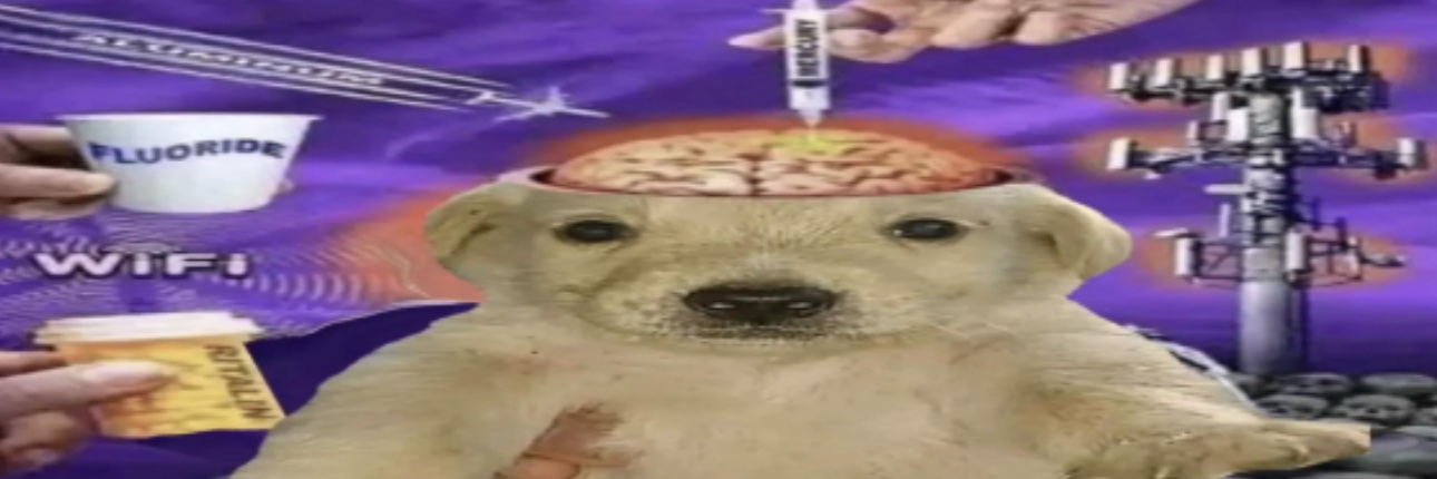 yaofred_'s profile banner image