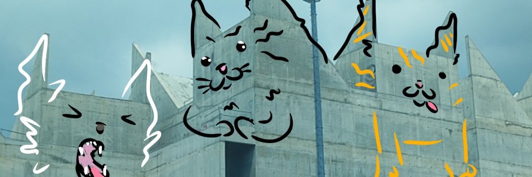 MFalacia's profile banner image