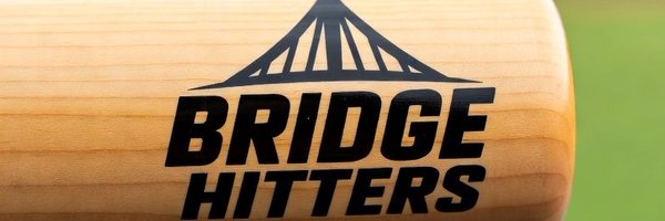BridgeHitters Profile Banner