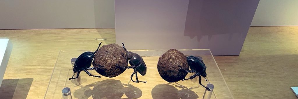 Joke吃喝玩乐 banner