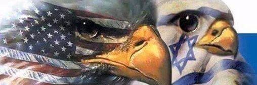 mphipps's profile banner image