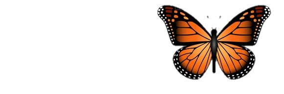 sameness240637's profile banner image