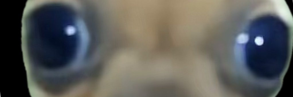 SomeAppleawue's profile banner image
